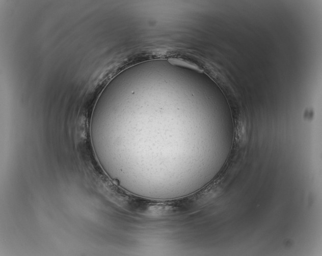X0000114190470200910231325