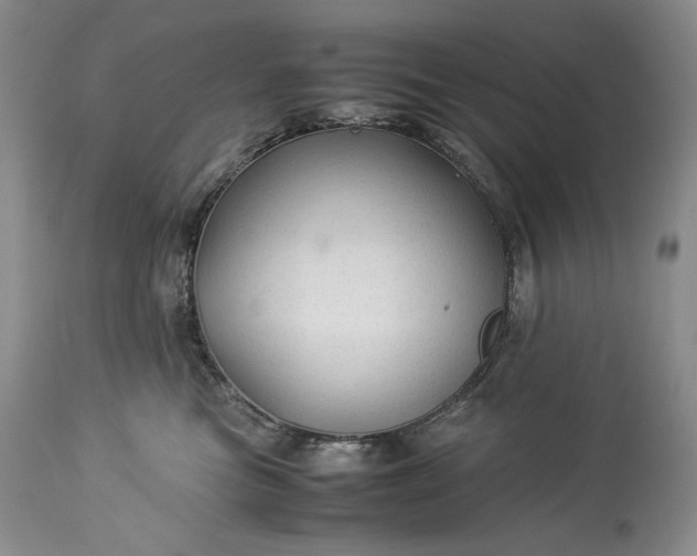 X0000114190473200910231325