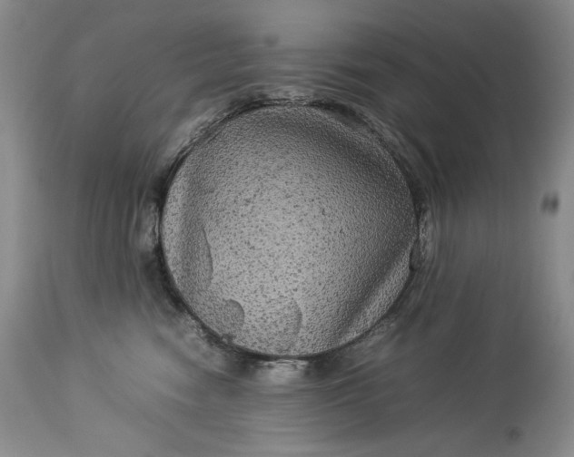 X0000114190474200910231325