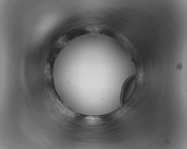 X0000114190477200910231325