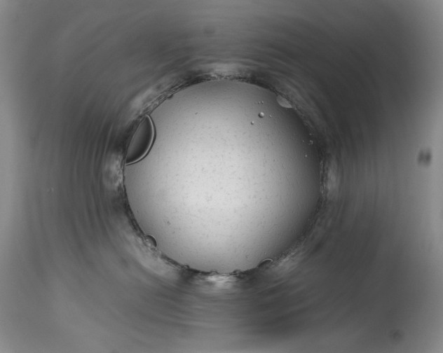 X0000114190478200910231325