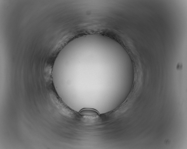 X0000114190480200910231325