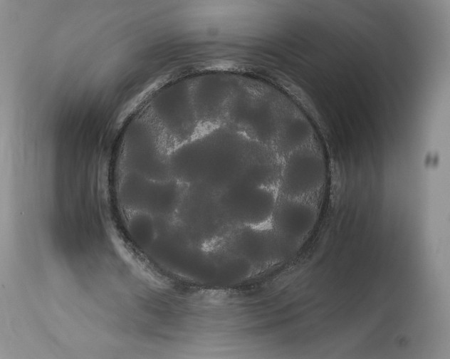 X0000114190482200910231324