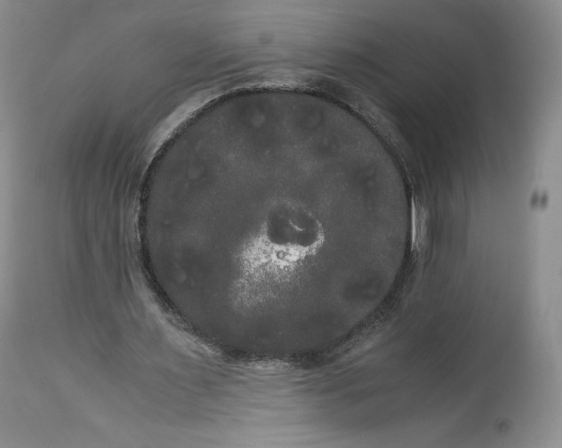 X0000114190483200910231324