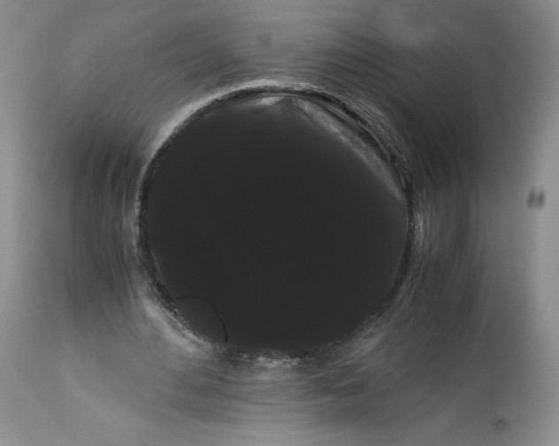 X0000114190484200910231324