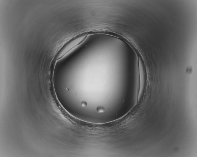 X0000114190485200910231324