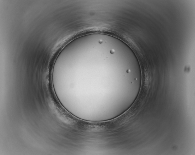 X0000114190486200910231324
