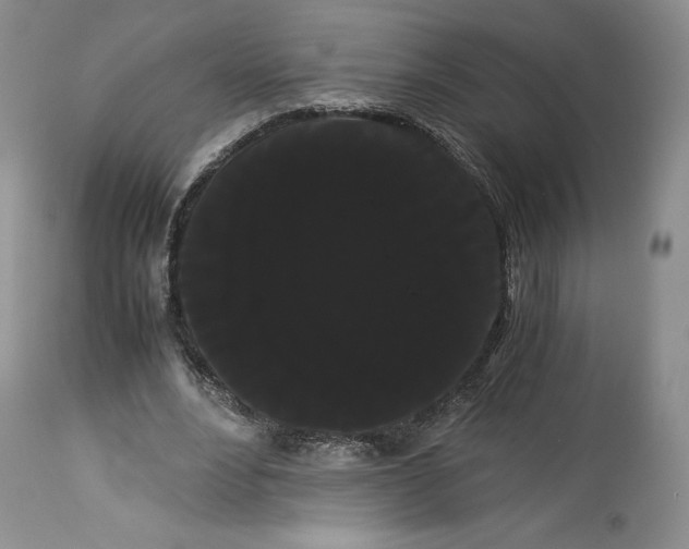 X0000114190488200910231324
