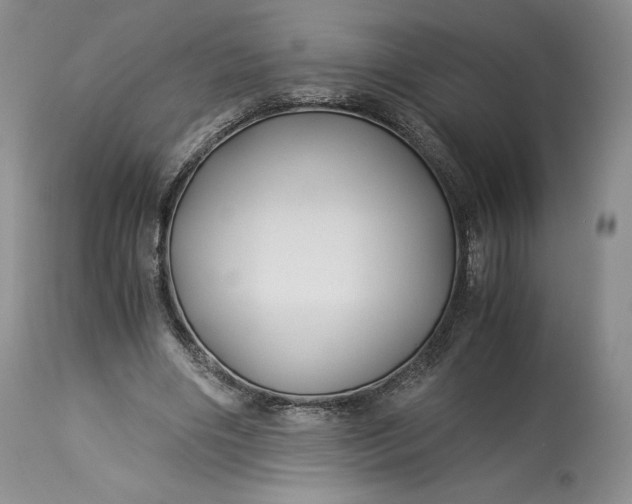 X0000114190490200910231324