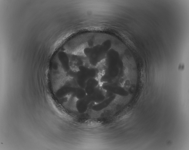 X0000114190491200910231324