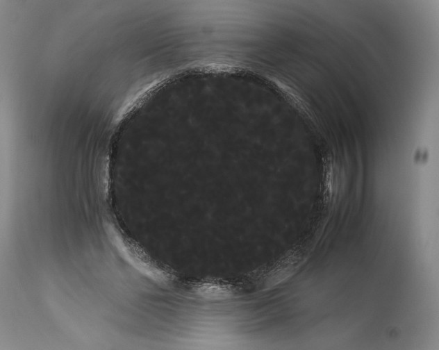 X0000114190494200910231324