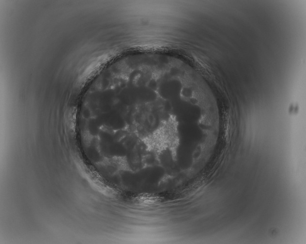 X0000114190495200910231324