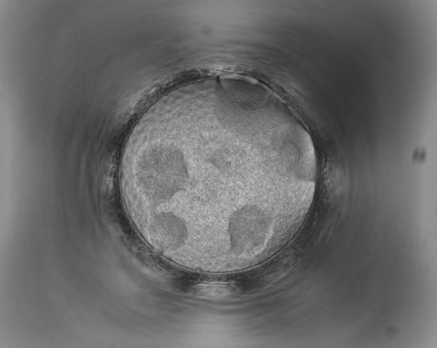 X0000114190499200910231324