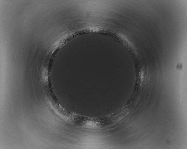 X0000114190500200910231324