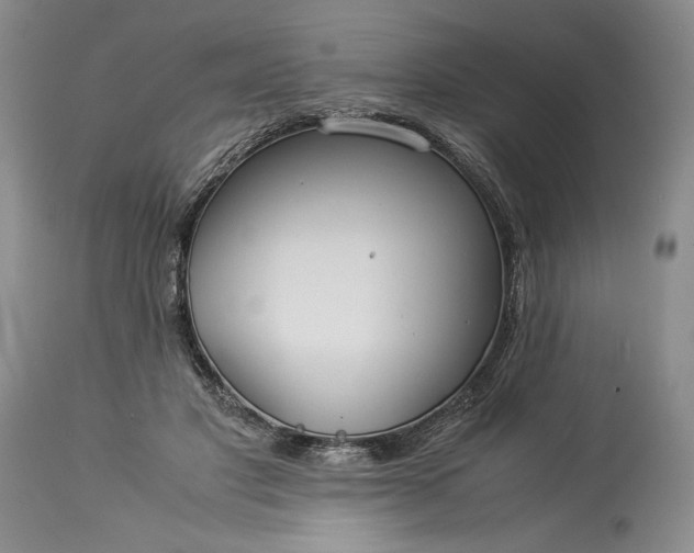 X0000114190501200910231324