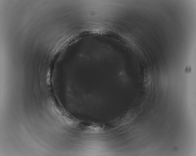 X0000114190502200910231324