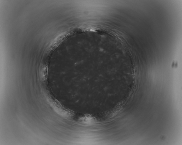 X0000114190503200910231324