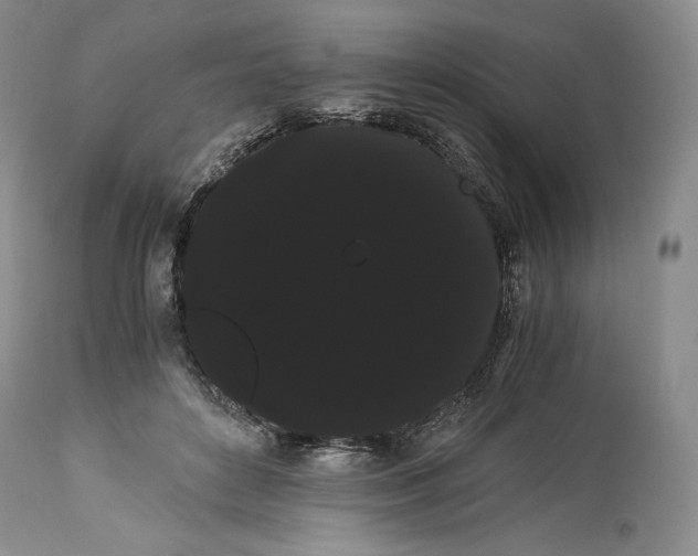 X0000114190504200910231324