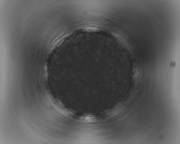 X0000114190506200910231324
