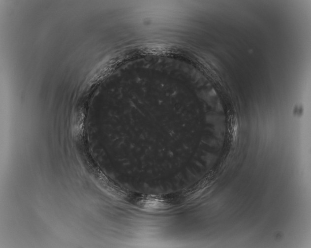 X0000114190507200910231324
