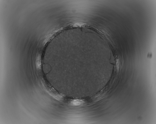 X0000114190508200910231324