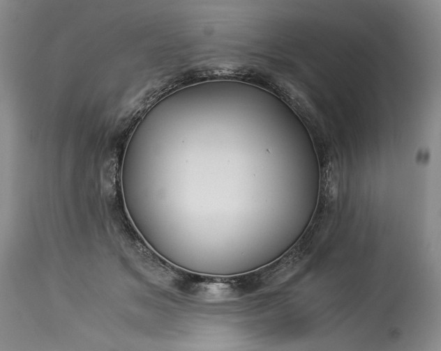 X0000114190509200910231324