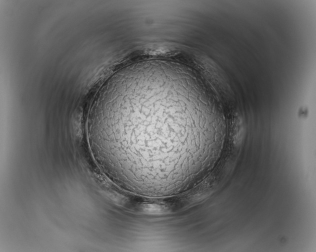 X0000114190510200910231324