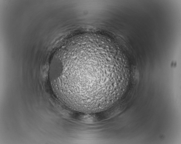X0000114190511200910231324