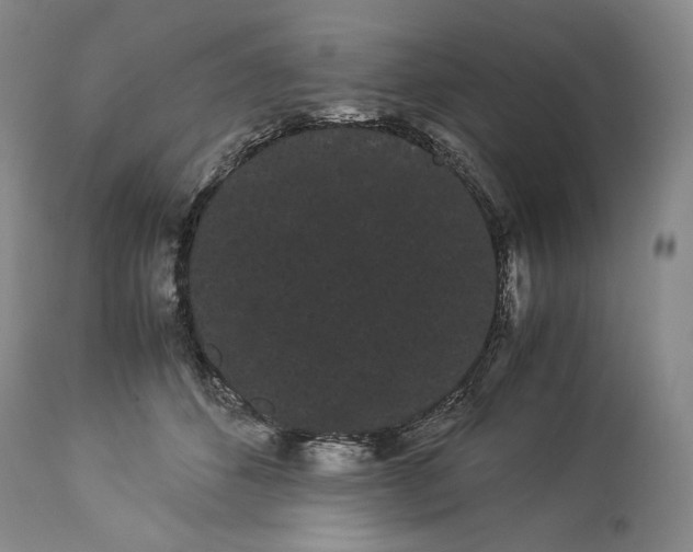 X0000114190512200910231324