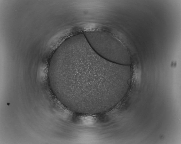 X0000114190513200910231324