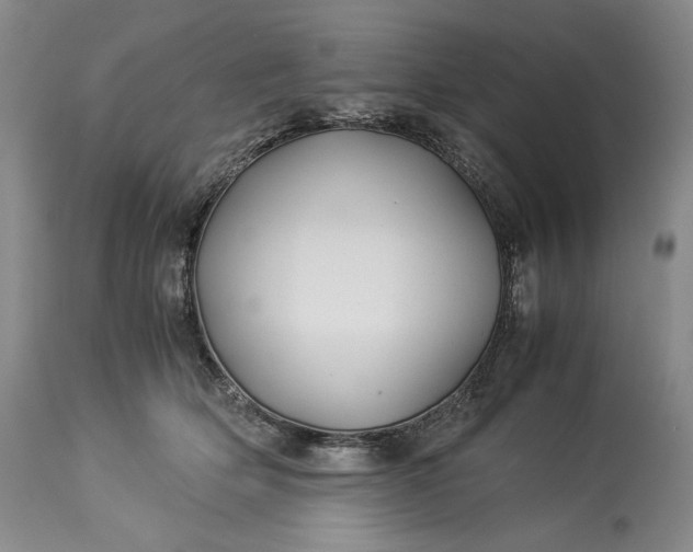 X0000114190514200910231324