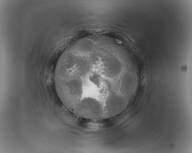 X0000114190515200910231324