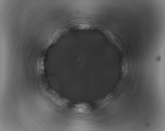 X0000114190516200910231324
