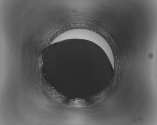 X0000114190517200910231324