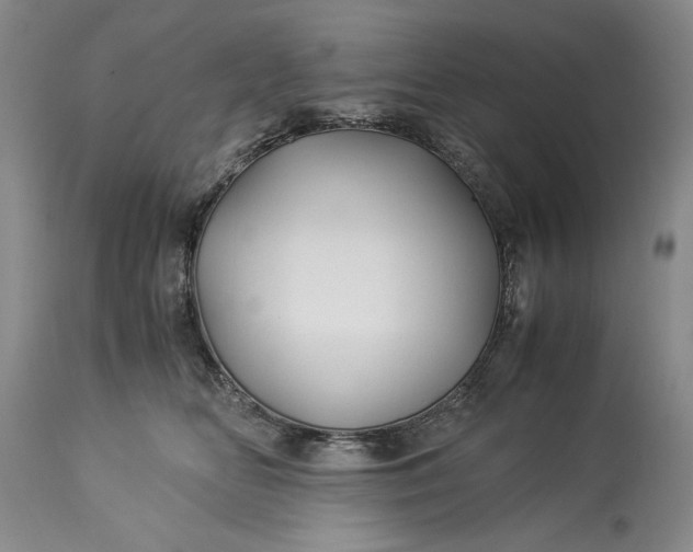 X0000114190518200910231324