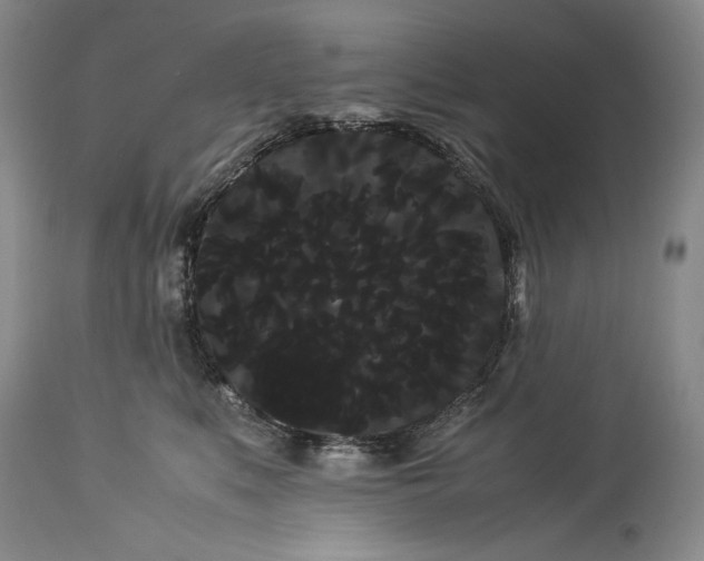 X0000114190519200910231324