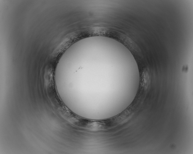 X0000114190522200910231324