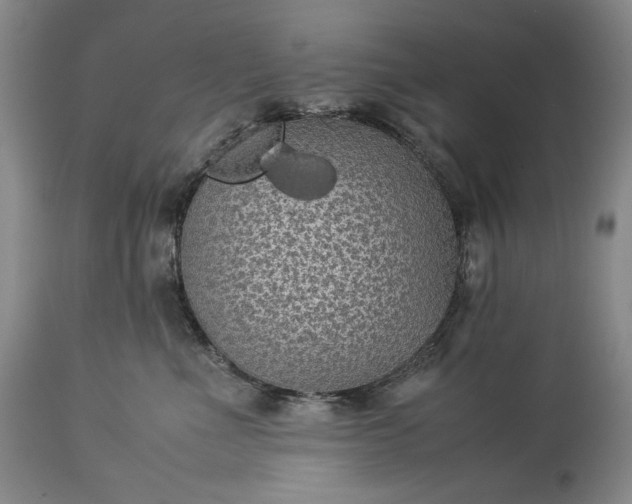 X0000114190523200910231324