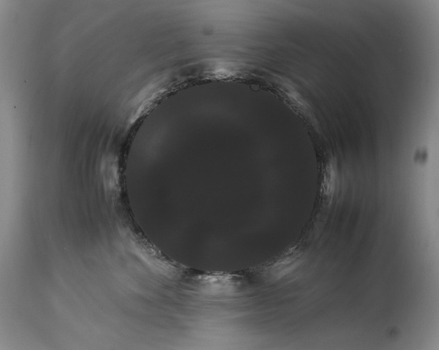 X0000114190524200910231324