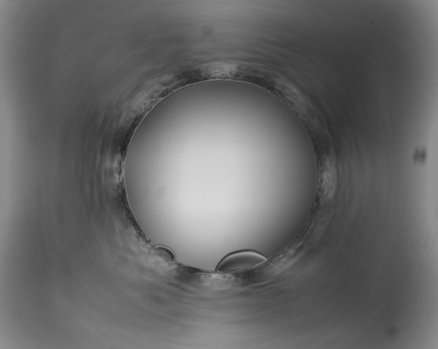 X0000114190525200910231324