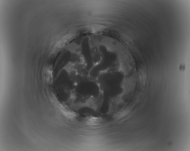 X0000114190527200910231324