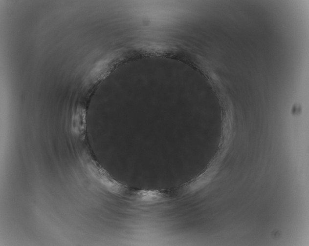 X0000114190528200910231324