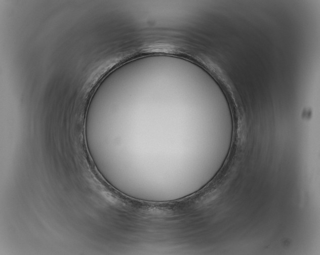 X0000114190529200910231323