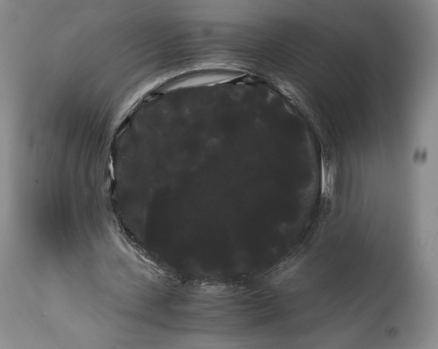 X0000114190531200910231323