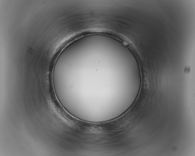 X0000114190535200910231323