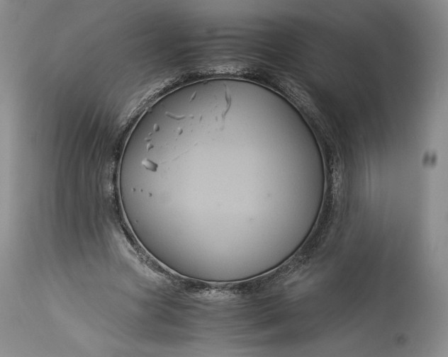X0000114190537200910231323
