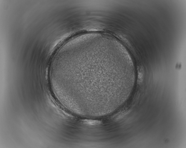 X0000114190539200910231323