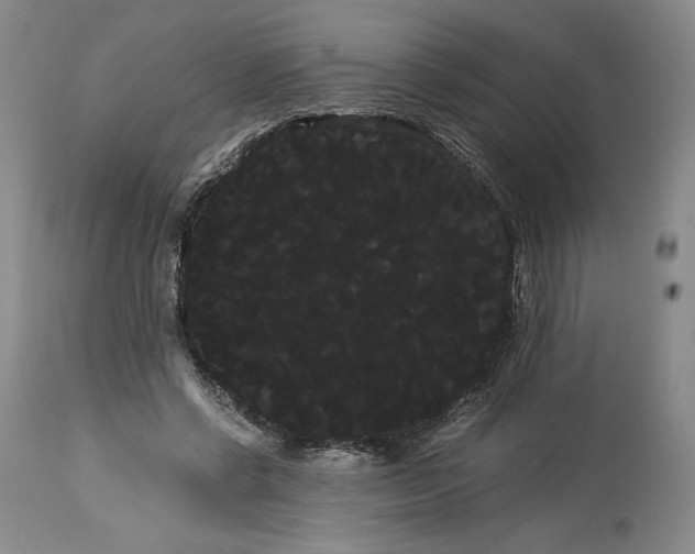X0000114190542200910231323