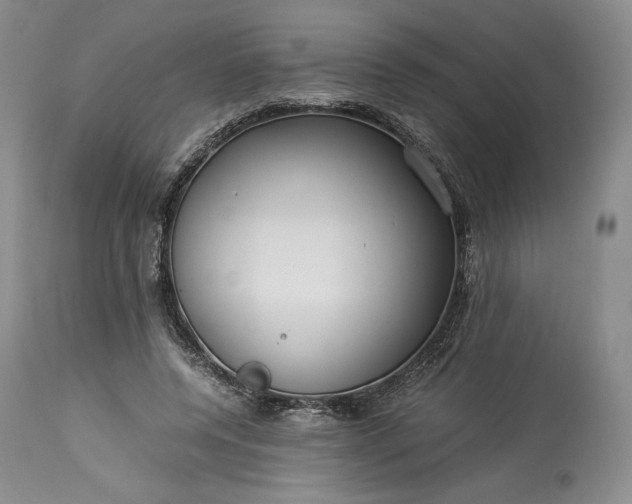 X0000114190544200910231323