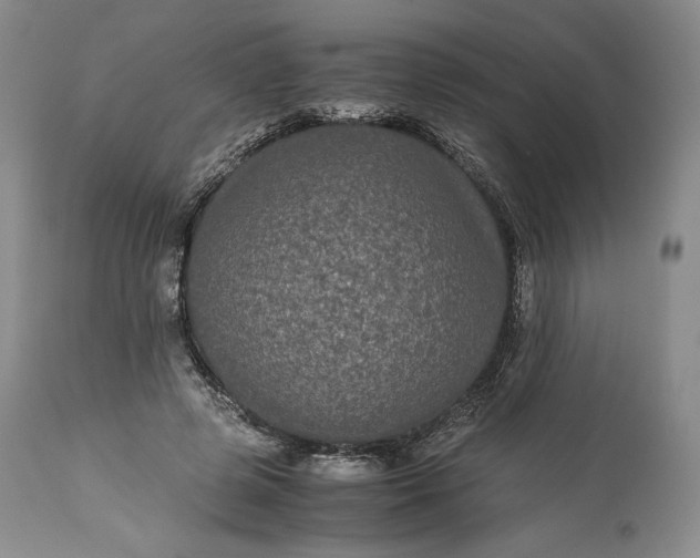 X0000114190545200910231323